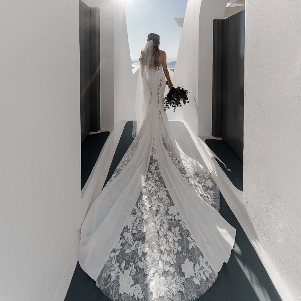 Wedding dress with vail